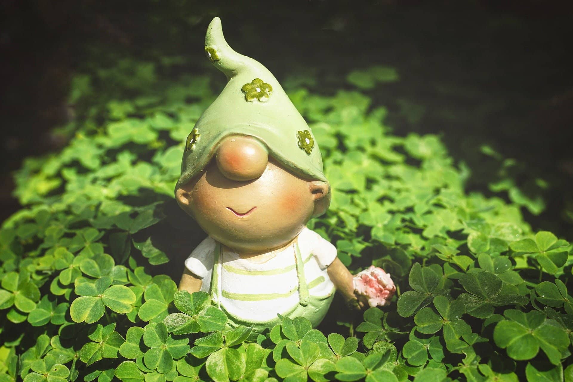 Search Trends for St. Patrick's Day